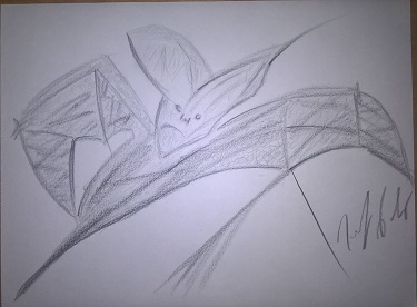 Pipistrello
